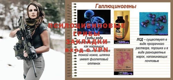 МДПВ Осташков