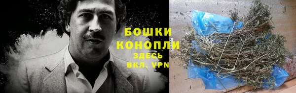 МДПВ Осташков