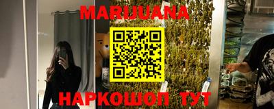 сатива Аргун