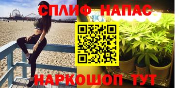 СК Апшеронск