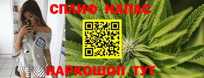 сатива Аргун