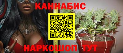 сатива Аргун