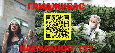 сатива Аргун