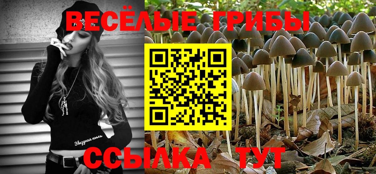 Псилоцибиновые грибы мицелий Белореченск