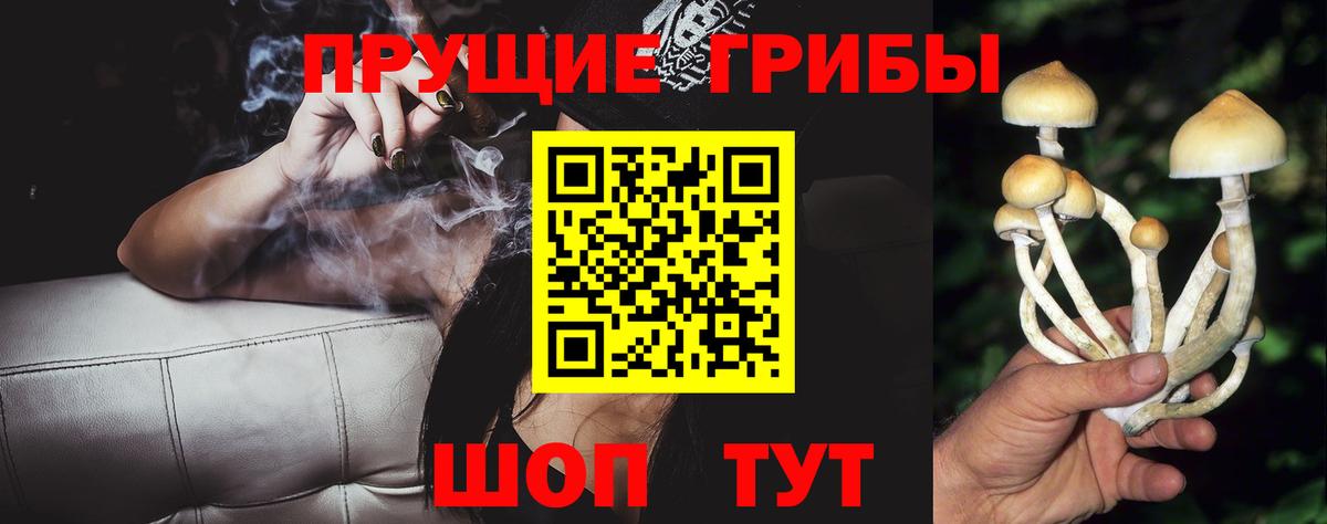 Галлюциногенные грибы Cubensis  Галлюциногенные грибы Psilocybe  Вход с VPN  Белореченск 